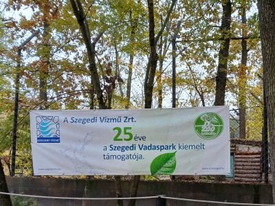 A Szegedi Vízmű Zrt. idén 25 éve a Szegedi Vadaspark kiemelt támogatója