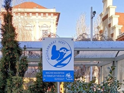Újabb lépés a környezettudatosság felé: Madárbarát Munkahely lett a Szegedi Vízmű